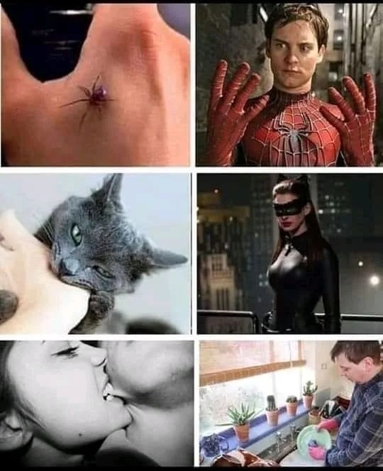 Pozor na pohryznutia